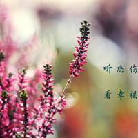 结婚祝福语押韵