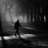 心情差到极点的句子