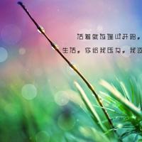 抖音扎心让人流泪的语录