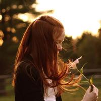 唯美伤感的句子短句