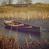 五个字表达爱情句子