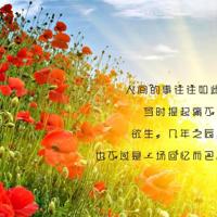 生日感恩的唯美句子说说心情