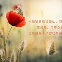 英雄联盟励志名言名句