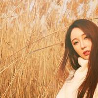 有关被骗的说说