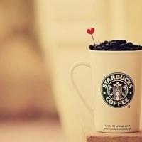 有关团结合作的名言