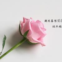 rapper日本免费大全*（我被同桌摁在桌子作爱）