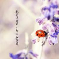 关于忙碌的正能量语录