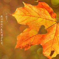 心酸到哭的暗恋短句❤心酸语录