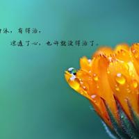 抖音古风唯美励志句子