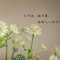 宝宝你的水流得到处都是 学长突然将遥控器开到最大