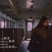 关于社会的警句