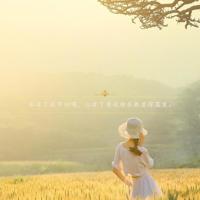 电影有哲理励志的句子 电影中富含哲理的句子