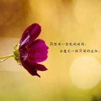 情感语录伤感一段话,情感短句