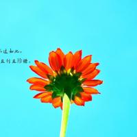 掀起裙子从后面挺进她身体 二指探洞感觉要喷了