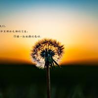 大伯对侄子新婚祝福语