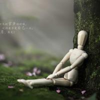 适合男生晚上玩的游戏 全文完整版