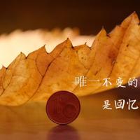 被人冤枉的心情说说