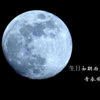 想谈一场不分手的恋爱的句子 我想谈一场永不分手的恋爱，文本