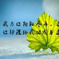 夸女生漂亮的短句经典