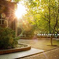 白洁被五个人玩一夜，（一睡成瘾1v 1）