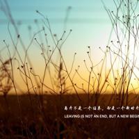 今天晚上我不打算停下来了 bgmbgmbgm老太太毛多多小说全文