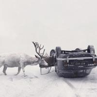 心情好发朋友圈句子