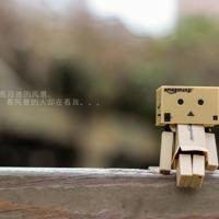 金银花露的书，清欢渡(限) 绯夜天