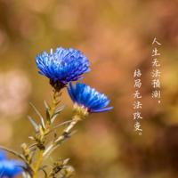 2021抖音最火的搞笑句子