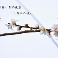 适合自慰看的大尺度污文*（啊...学长你干嘛上着课呢小说）