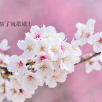 微信朋友圈女生伤感说说心情短语