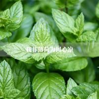 经典心情说说 每一句都写进心窝里!