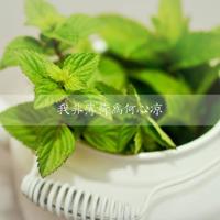 电影了不起的盖茨比经典台词