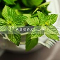 分手痛苦的诗词