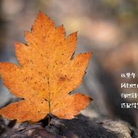 炫酷的朋友圈说说