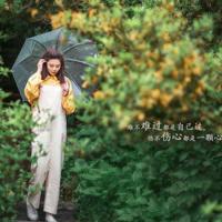 伤感说说看完哭了那种