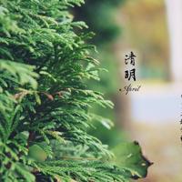 情侣专属空间相册名称