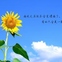 三个嘴吃满了 攵女乱h*拉开双腿抵在墙上bl