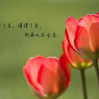 关于人生哲言经典语句汇总