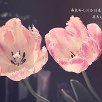 qq空间动态说说 带图片