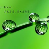 5060网;庶难从命