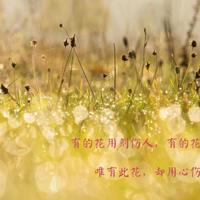 霸气搞笑情侣网名