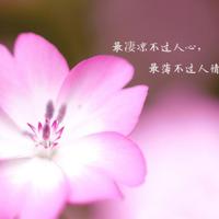 朋友圈说说的好句子伤心