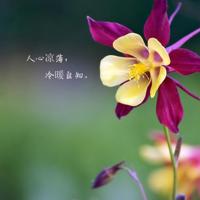 走一步故意深深地撞楼梯 椅子上有木棒坐下去吃饭短文