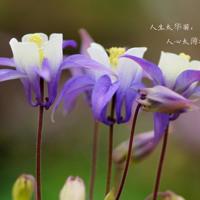 抖音简短句子大全