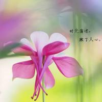 被几个男的同时做好爽 太长又太大又太粗好爽