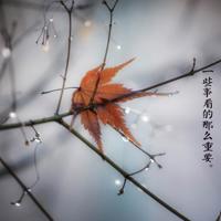 心灵鸡汤简短经典语录励志