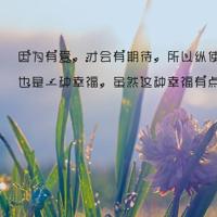 排列5走势图综合图 慈禧野史