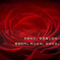 酷爱影院在线电影,很污3d模拟养成游戏手游ios