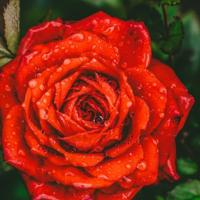 最精辟的微信励志句子 微信励志句子大全