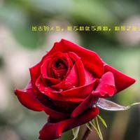 青梅竹马是消防员、乱小说录目伦短篇500